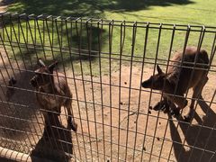 -费瑟代尔野生动物园