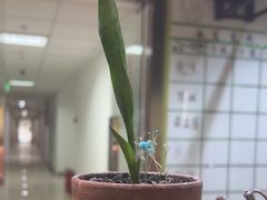 -学习谷日语培训日本留学·多语种外语教学(海淀人大分部)