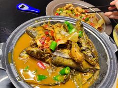 -阿露佳·舌尖上的安吉菜