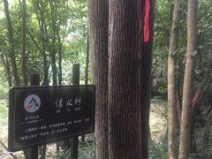 -九华秋浦胜境大王洞风景区