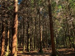 -山王坪喀斯特国家生态公园