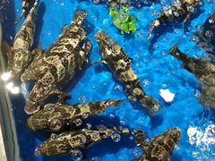 -盒马鲜生(莱蒙都会店)