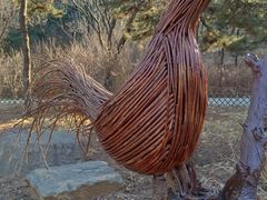 -北京西山国家森林公园