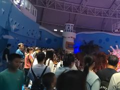 -烟台海昌鲸鲨海洋公园