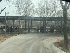 -秦始皇帝陵博物院-丽山园