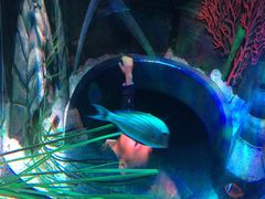 -沈阳海洋探索中心