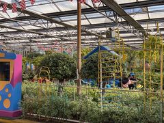 -南宫五洲植物乐园