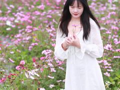 -光明小镇欢乐田园