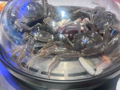 -半岛听涛蒸汽海鲜自助(K11店)