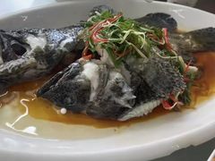 -众味海鲜大排档·活海鲜·潮汕味(南澳店)