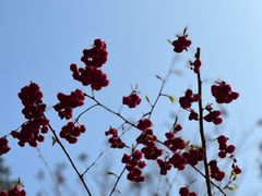 -成都欢乐谷