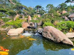 -罗红摄影艺术馆