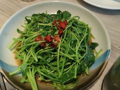 -佬肥猫(七宝宝龙店)