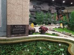 -九华山酒店温泉