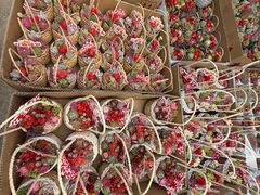 -龙大花卉苗木市场