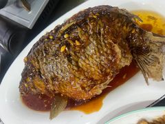 罾蹦鲤鱼-金阁家常菜(贵阳路店)