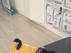 -申普宠物医院·眼科·心内科·影像科(普陀分院)