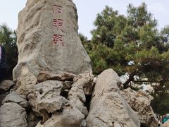-荣国府