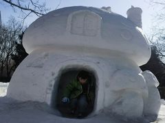 -沈阳奥体冰雪嘉年华