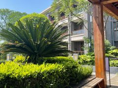 -成都安仁福朋喜来登酒店