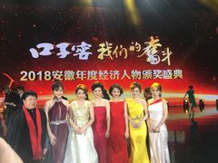 -安徽广播电视台