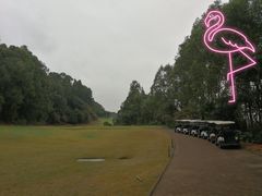 -南沙高尔夫球会