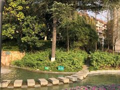 -成飞公园
