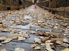 -御道口草原森林风景区
