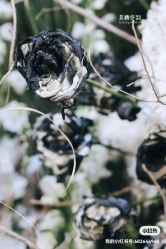 -美薇亭婚礼顾问