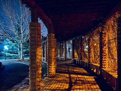 -南开大学滨海学院