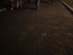 -东风公园