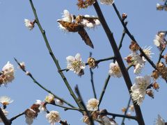 -幕燕滨江·长江观音景区