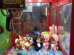 -PAWTOY爪e玩偶店(天兴罗斯福店)