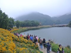 -广州市石门国家森林公园