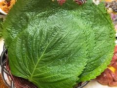 苏子叶-韩风烤牛肉冷面店