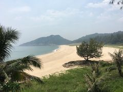 -广东惠东海龟国家级自然保护区