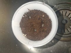 -KKV(南京新城市广场店)