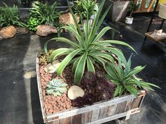 -北马山庄植趣咖啡