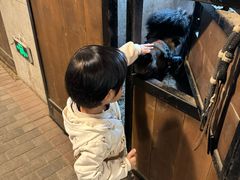 -宁海安岚·南溪阁全日餐厅