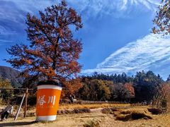 -塔川景区