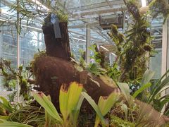 -国家植物园南园