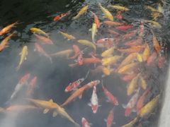 -千滋百味·醉江澜花园餐厅(街道口店)