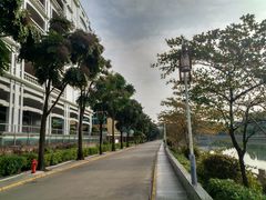 -佛山市第一中学