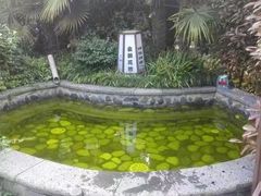 -杭州第一世界大酒店·云曼温泉