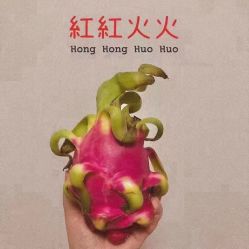 -菲啦城堡高端儿童摄影会所(武夷商业城店)