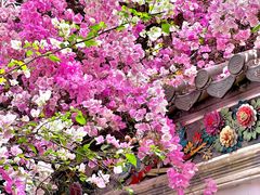 -深圳国际园林花卉博览园