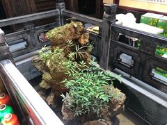 -缘来聚·徽菜名店(黄山宏村店)