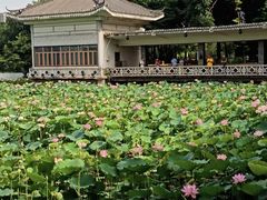 -荔湾湖公园