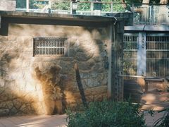 -昆明动物园