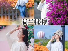 -荷兰花海